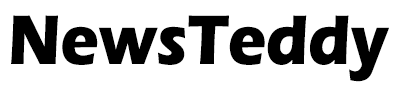 NewsTeddy